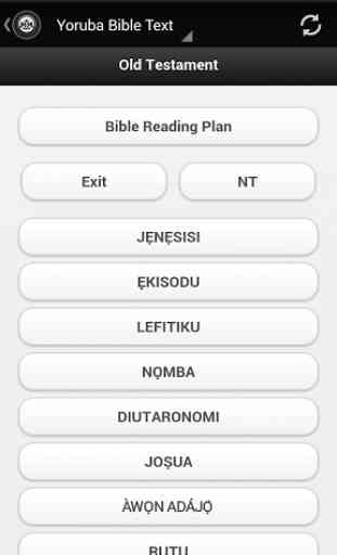 Yoruba Bible Text 2