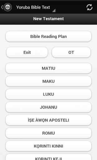 Yoruba Bible Text 3