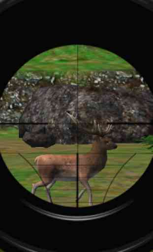 Animal Hunter 3D 2