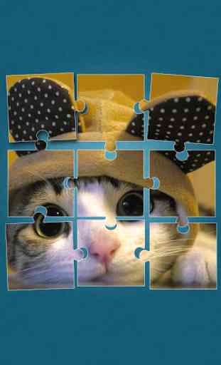 Chats Mignons Jeux De Puzzle 1