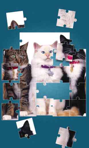 Chats Mignons Jeux De Puzzle 3