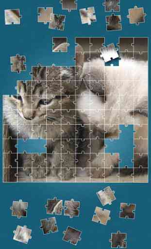 Chats Mignons Jeux De Puzzle 4