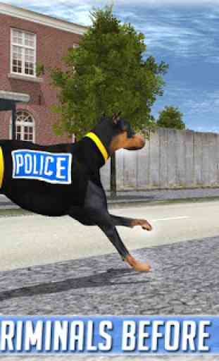 chien de police de poursuite 4
