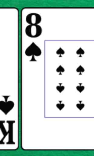 Count cards: Pro Card Counter 3