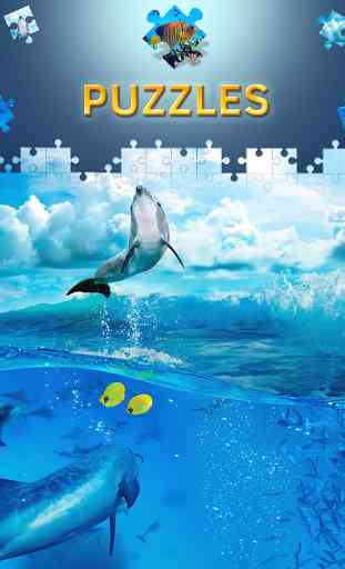 Jeux de puzzle de dauphin 3