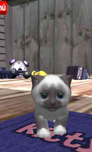 KittyZ, votre animal virtuel 2 2