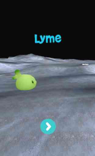 Lyme 1