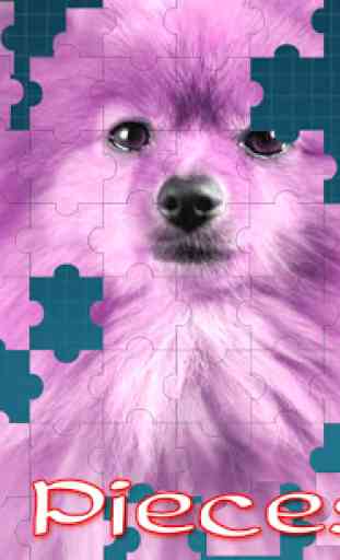 Pomeranian Dog Jigsaw Puzzle 3