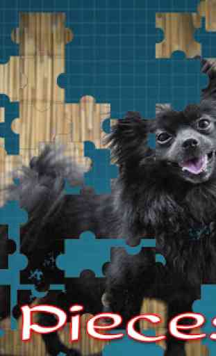 Pomeranian Dog Jigsaw Puzzle 4