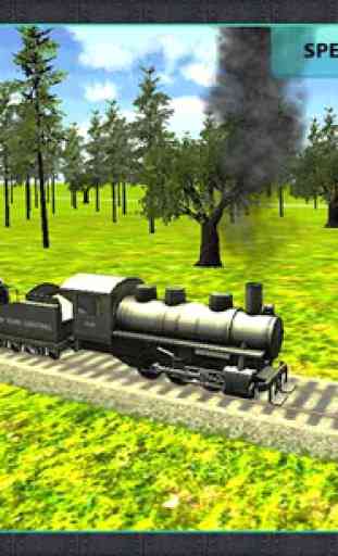 Real Train Simulator pilote 3D 1