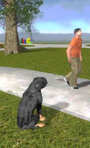 Rottweiler Dog Life Simulator 1