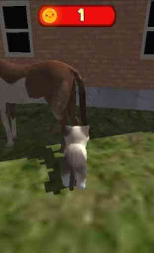 Simulateur chat Kitty Z  2