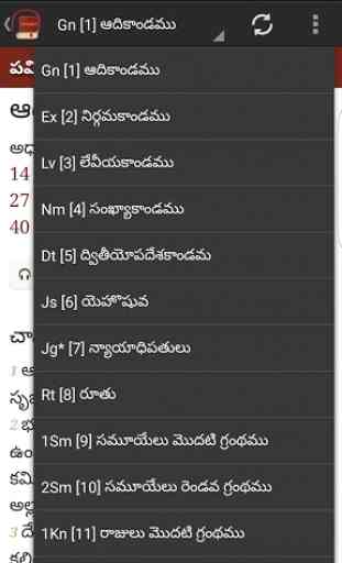 Telugu Bible 4