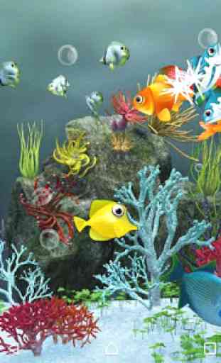 3D Koi Fish Live Wallpapers 2