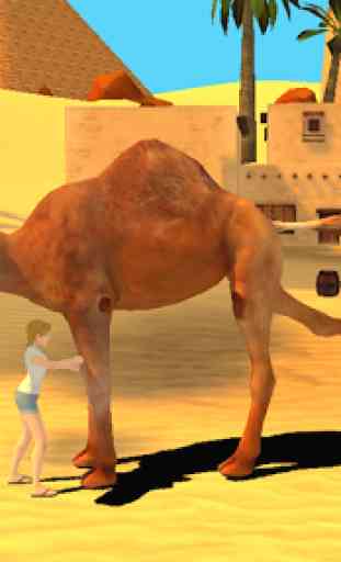 Camel Simulator 1