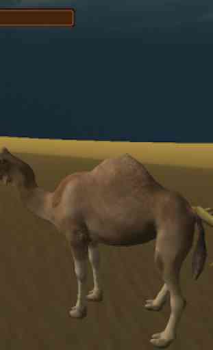 Camel Simulator 4