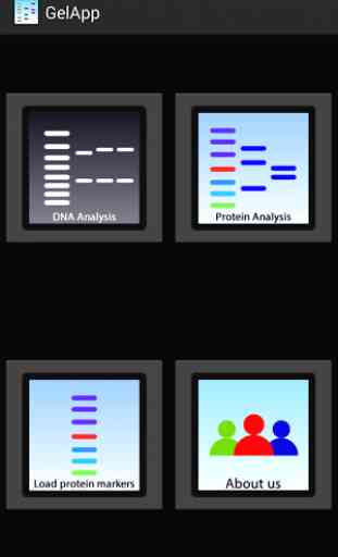 Gelapp: DNA&Prot Gel Analyzer 1