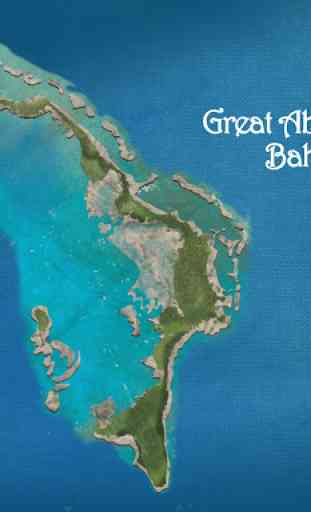 Lizard Island: Observation 4