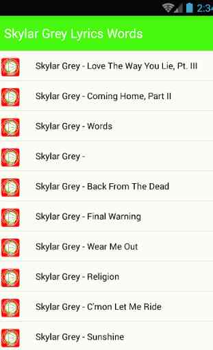 Skylar Grey Lyrics Words 2