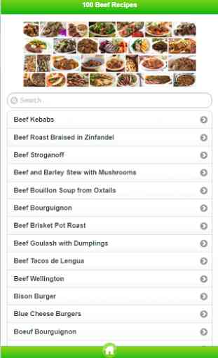 100 Best Ground Beef Recipes 2