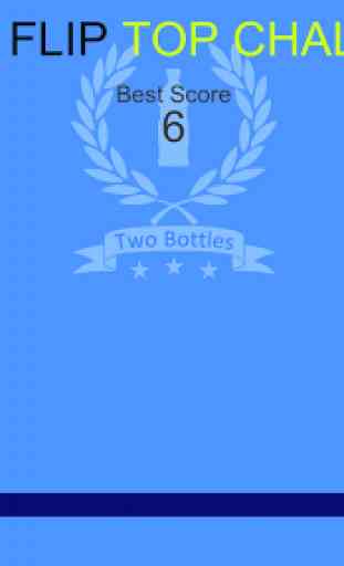 Bottle Flip TOP challenge! 3