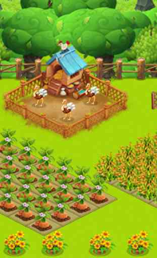 City Farm 4