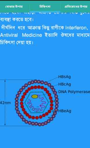 Hepatitis B virus information 2