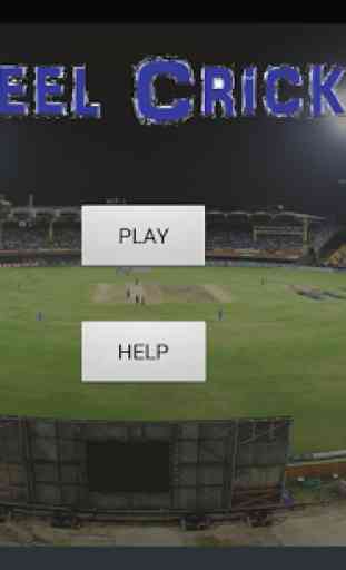 IPL-Wheel Cricket 1