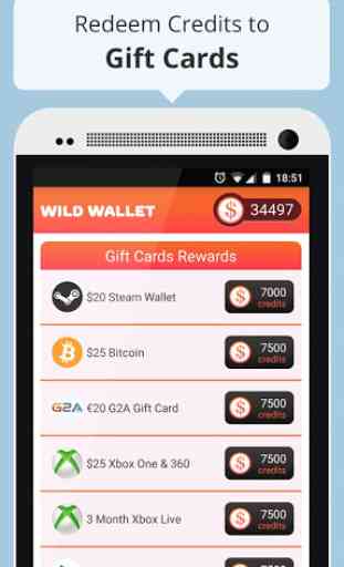Make Money / Cash: Wild Wallet 4
