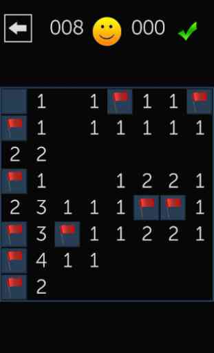 Minesweeper Fun 1