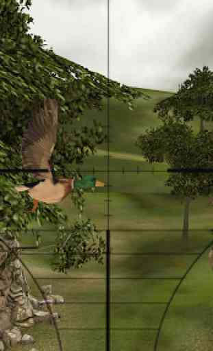 Oiseaux Sniper Chasse 4