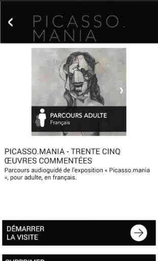 Picasso.mania, l'Exposition 4