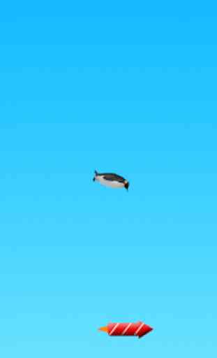 Pingouin volant 4