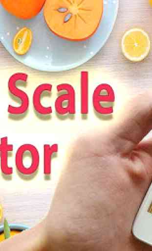 Scale Measure Simulator 1