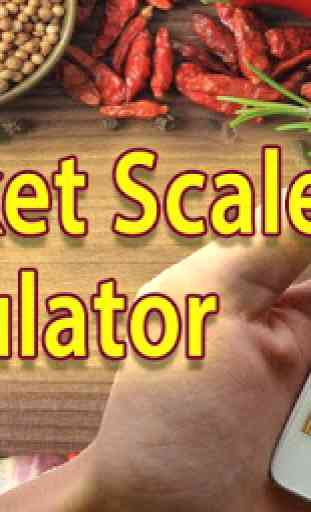 Scale Measure Simulator 2