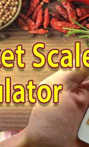 Scale Measure Simulator 4