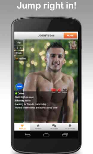 VGL Gay Dating Network 2
