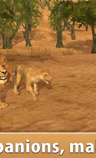 Wild African Lion Simulator 3D 3