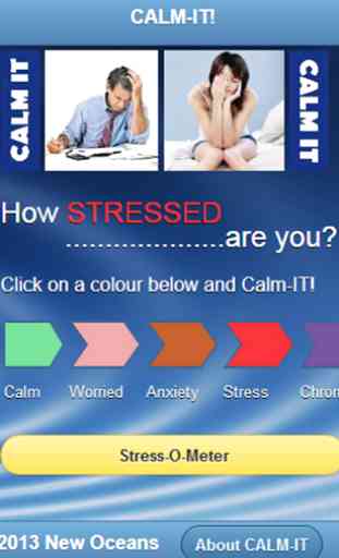 Calm-IT Stress Relief 1