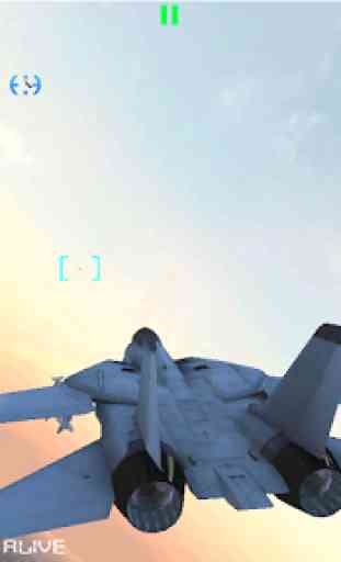 F-14 Tomcat : Ace Jet of Skies 3