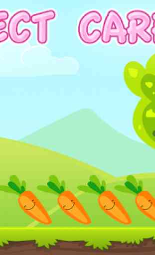 Loony carrots: Bunny Run 1