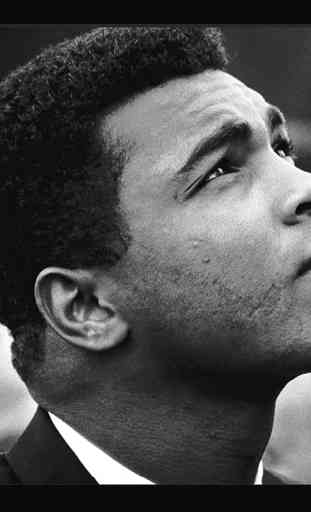 Muhammad Ali I 1