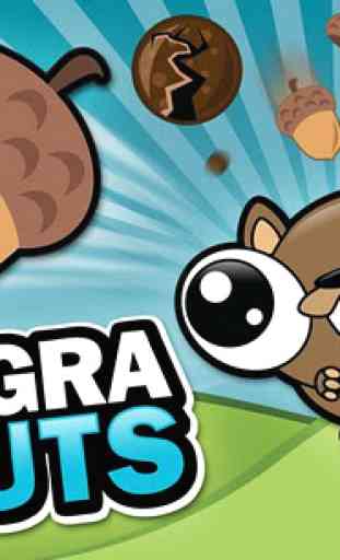 Noogra Nuts - The Squirrel 1