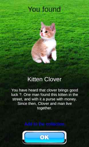 Pocket Kitten GO 4