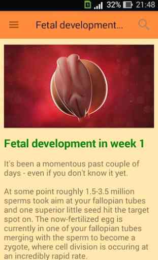 Pregnancy week by week 3