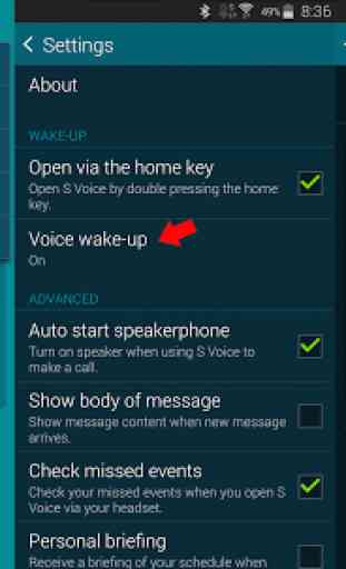 S for Switch Voice Pro 4