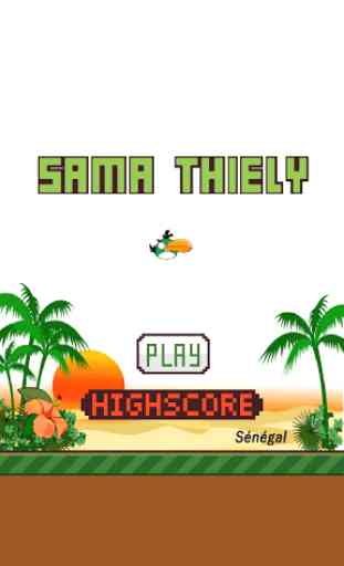 Thiely - The flying bird 2