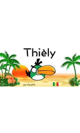 Thiely - The flying bird 3