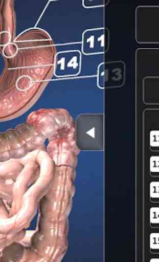 Endoscopy 3D (Free) 3