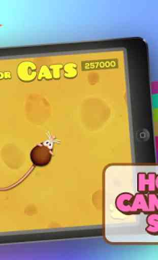 Game for Cats 4